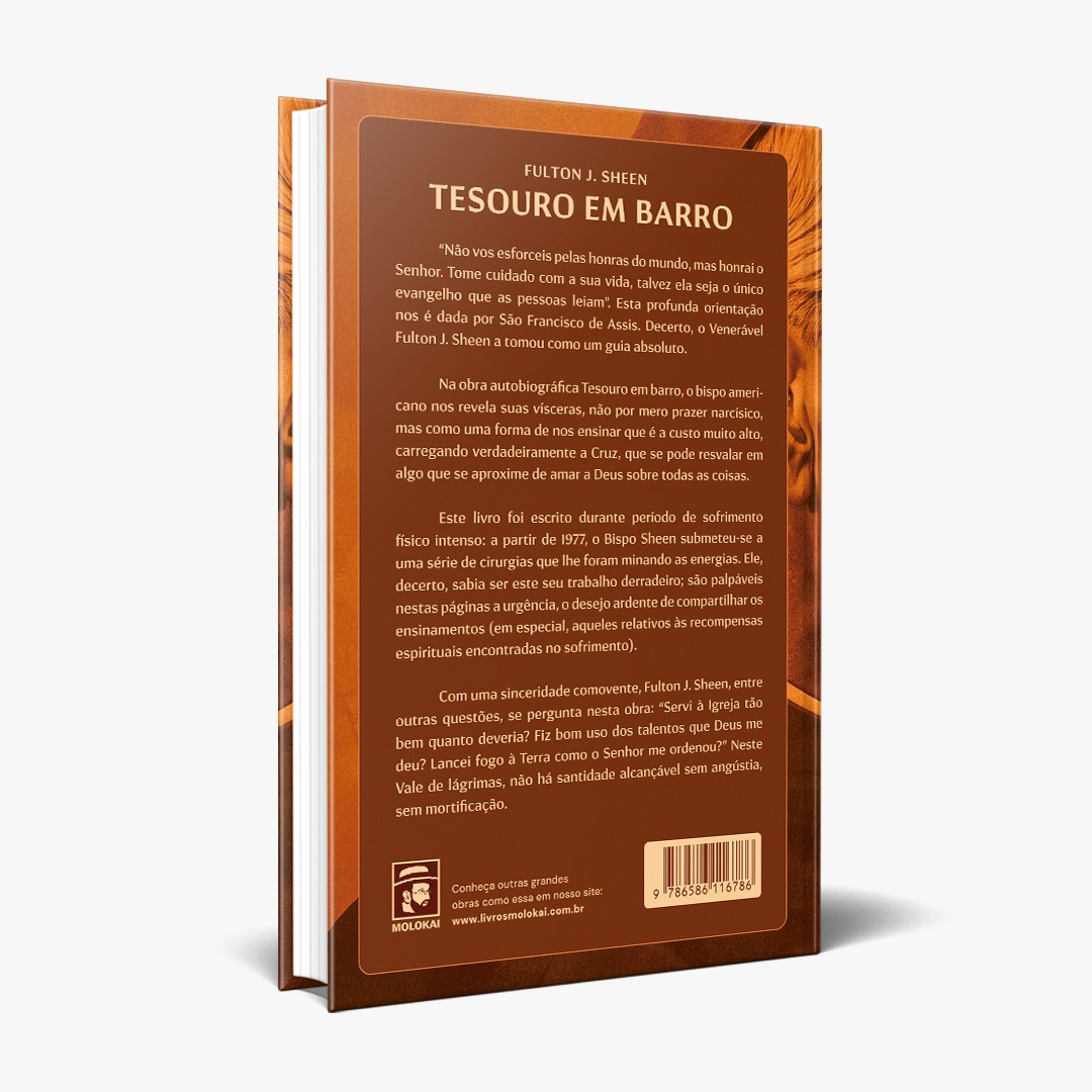 TESOURO EM BARRO - Fulton J. Sheen - Imagem 2