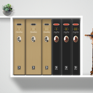 HOMILIAS E ÂNGELUS 6 VOLUMES - MOCKUP ESTANTE